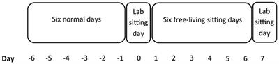 Effects of Multiple Sedentary Days on Metabolic Risk Factors in Free-Living Conditions: Lessons Learned and Future Recommendations